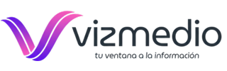 logo vizmedio